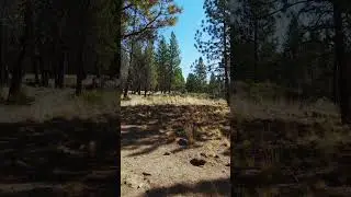 Rimrock Trail - Bend Oregon - 9/2/2024 #1