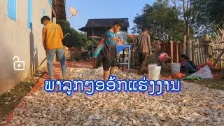 ມື້ນີອອ້ກແຮ່ງງາ້ນຄື້ເກົາ