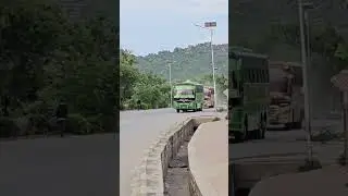 ROAD LIFE 🛣️ ALLY'S STAR BUS & PREMIER LINE