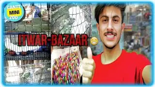 Itwar bazar | Birds Market Wah Cantt 2023 | Birds Market 🦜 | #wahcantt #canttminizoo #petsvlog