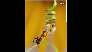 Incredible Photography Hacks and exclusive ideas that get excellent results.