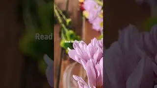 Transform Your Backyard into a Self-Reliant Medicinal Garden