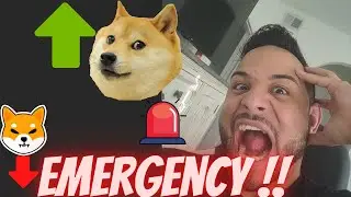 Shiba Dropping = Dogecoin Explosion???!
