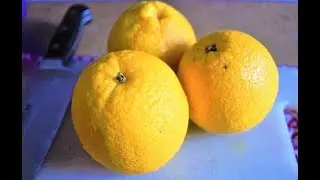 How to cut a sweet lemon