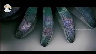Third Eye Post Production Studios (2017, India)