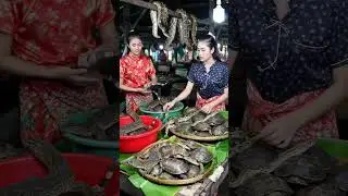 Southeast Asia's Traditional Markets Are Filled with Exotic Animals@muhammadarif-ai