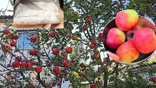 Specijalni kolac iz bakine sveske .Recept iz mladosti.Ovo samo meni može da se desi🤣🫣