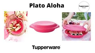 Plato Aloha