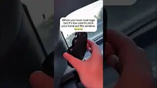 Link in bio! #cars #roadrage #usa