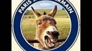 Anti psg