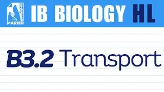 B3.2 Transport &ndash; Interactive Lesson | IB Biology HL