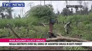 NDLEA Raids Drug Joints In Lagos, FCT, Other States, Arrests 663 Traffickers