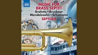 Ave Maria, WAB 6 (arr. S. Cox for brass septet)