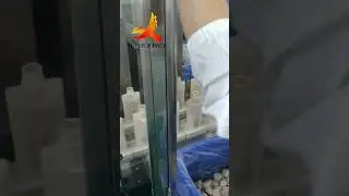 Automated Lotion Shampoo Bottle Filler Capper Production Line | Stop Doing Everything By Hand
