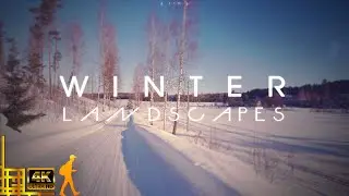 Early Morning Winter Landscapes in Finland ❄️️ 4K UHD