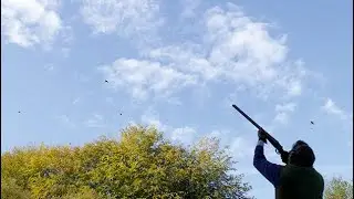 Shooting high pheasants and partridge with ShotKam 