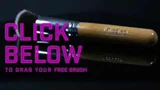 Free Makeup Brush