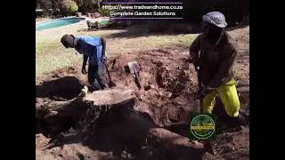 Stump Digging