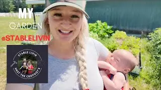 My #garden ​⁠@StableLivin #farmlifebestlife #farmkid