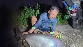 Cần thủ câu dính cá vồ ‘khủng’ ở Vườn quốc gia U Minh Thượng | TayNinhTV