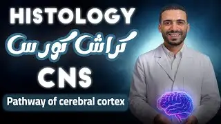 CNS pathway of cerebral cortex | histology | dr kandeel 2025