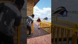 A crocodile scared the child and a older man beat the crocodile #zamelectproperties #shpgopal