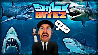 Can I KILL THE shark IN  Roblox - SharkBite 2