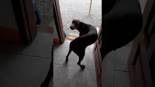 Filomena dan&ccedil;a Crunchy #4i20 #music #psytrancebrasil #rave #psytrance #memes