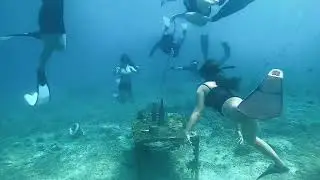 Freediving Community in Mabini Batangas - ABSea Freediving, Lakbay Freediving