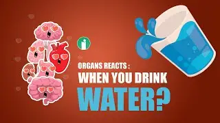 What Happens Inside Your Body When You Drink Water? 💧 | Fun Organs Talk! | Infopediainfo #water