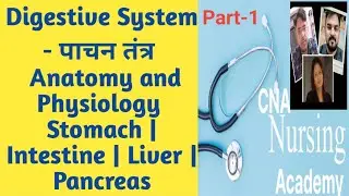 Digestive System - पाचन तंत्र | Anatomy and Physiology | RRB | digestive system nursing classes 