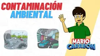 Contaminaci&oacute;n Ambiental