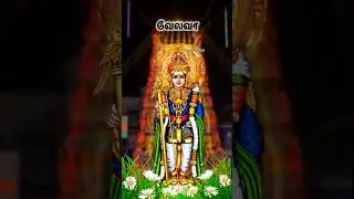 தென் பழனி மன்னனே வேலவா #முருகன் #devotional #murugan #love #trending #viral #tamil #today #hindugod