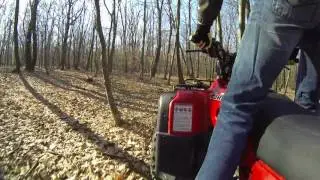 Honda Foreman 450 ES
