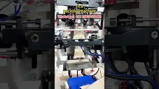 1000g 2500g rice packing machine | vertical form fill seal rice packing machine factory