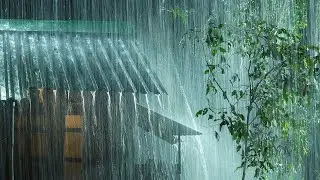 Rain At Night: Nighttime Rainforest Rainfall for Guided Meditation and Mindful Slumber