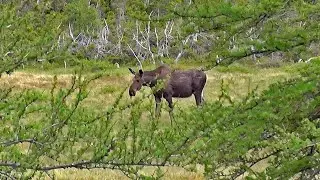 Scenes of Nova Scotia: Cape Breton