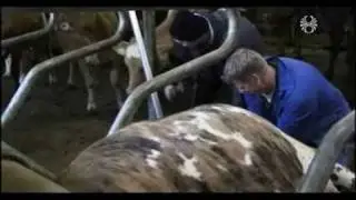 B&aelig;ndur &aacute; &Ouml;nundarhorni og Arion banki