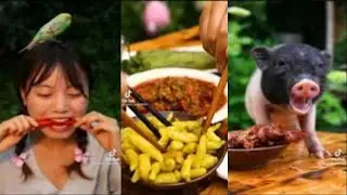 Traditional Fishing - Catching Seafood's Deep Sea Creatures (Catch Crab, Catch Fish) - Tik Tok #10