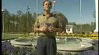 International World Tour - near Myrtle Beach, SC