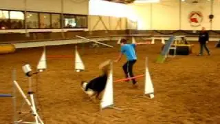 SGSV Ostheim A3 Jan-Oliver DierlichAlice.AVI