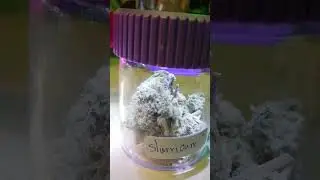 Legal Esrar #weed #grow #legalweed
