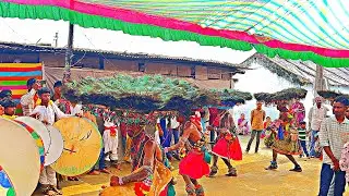 Budhwarpet Dandar || New Gondi Dandar Video 2025
