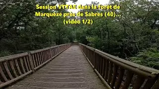 Session VTTAE dans la for&ecirc;t de Marqu&egrave;ze pr&egrave;s de Sabres (40)... (vid&eacute;o 1/2)