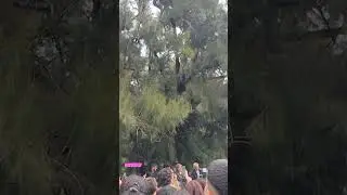 Morat en los Rosedales