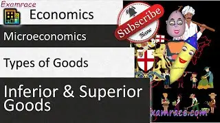 Types of Goods - Microeconomics: Fundamentals of Economics