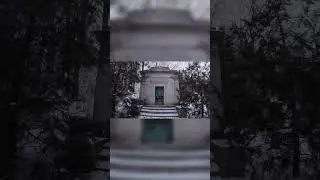 Almost Fell on Old Steps! Squirrels Everywhere!