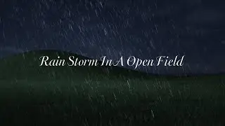 Caught in a Rainstorm 🌧️ | Open Field Ambience & Natural Rain Sounds