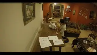 Wintercroft Bull Mask Time-lapse