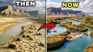 How 19 Beavers Turned Utah&rsquo;s Dying Desert River Into a Thriving Oasis